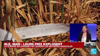 Guerre en Ukraine : les prix du blé et du maïs explosent