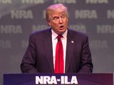 Donald Trump to NRA: 'I will not let you down'