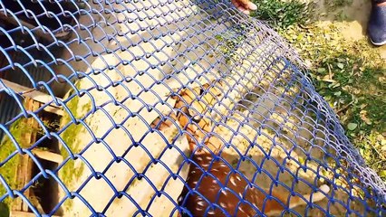 NONDON PARK VLOG VIRAL FUNNY CRAZY VLOG BANGLA