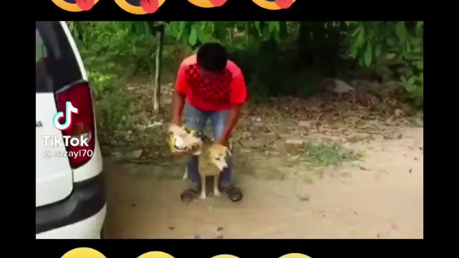 Funniest Pranks with Dogs, Cats and others | Animal Prank video 2022
