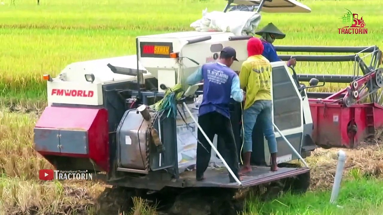 Kombi Sawah INI Semangat Ketika Di SHooting Panen Lancar dan Cepat