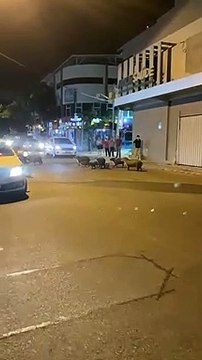 Família de capivaras passeio pelo Centro de Itajaí