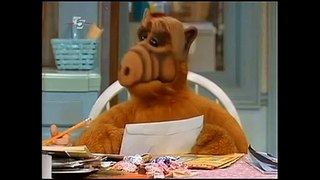 ALF - 080. Mr. Universum