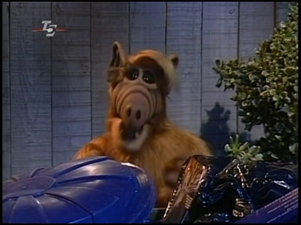 ALF - 089. Männerwirtschaft