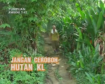 AWANI 7:45 malam ini: Kerajaan beri amaran jangan ceroboh hutan KL dan Leicester City juara Liga Perdana Inggeris