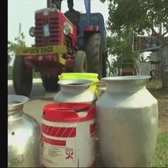 Lebih 300 maut akibat cuaca panas di India