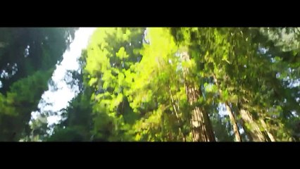 Jatr -  Forest (Feat Jazmin Escobar)(VideoClip Oficial)