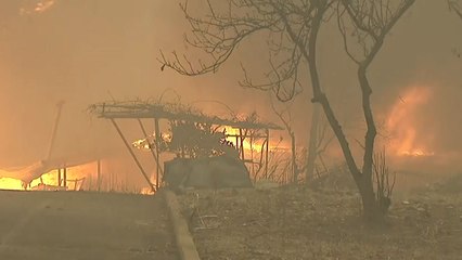 나흘째 산불, 서울 반이 탔다...주불 잡힐까? / YTN