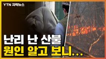 [자막뉴스] 서울 면적 1/4 피해 '동해안 산불', 원인 알고 보니... / YTN