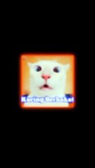 Kucing Berbakat Nih