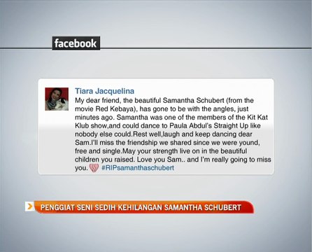 Penggiat seni sedih kehilangan Samantha Schubert
