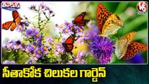 Y2Mate.is - Man Create Butterfly Gardening At Home In Maharashtra  V6 Weekend Teenmaar-kzh-jXPC7oM-720p-1646616152258