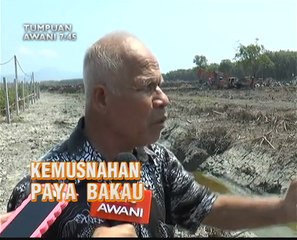 AWANI 7:45 malam ini: Jerebu datang lagi dan hilang punca rezeki