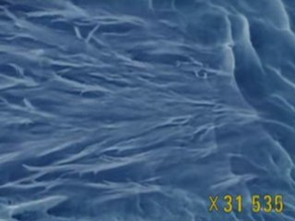 Zoom into Plastic