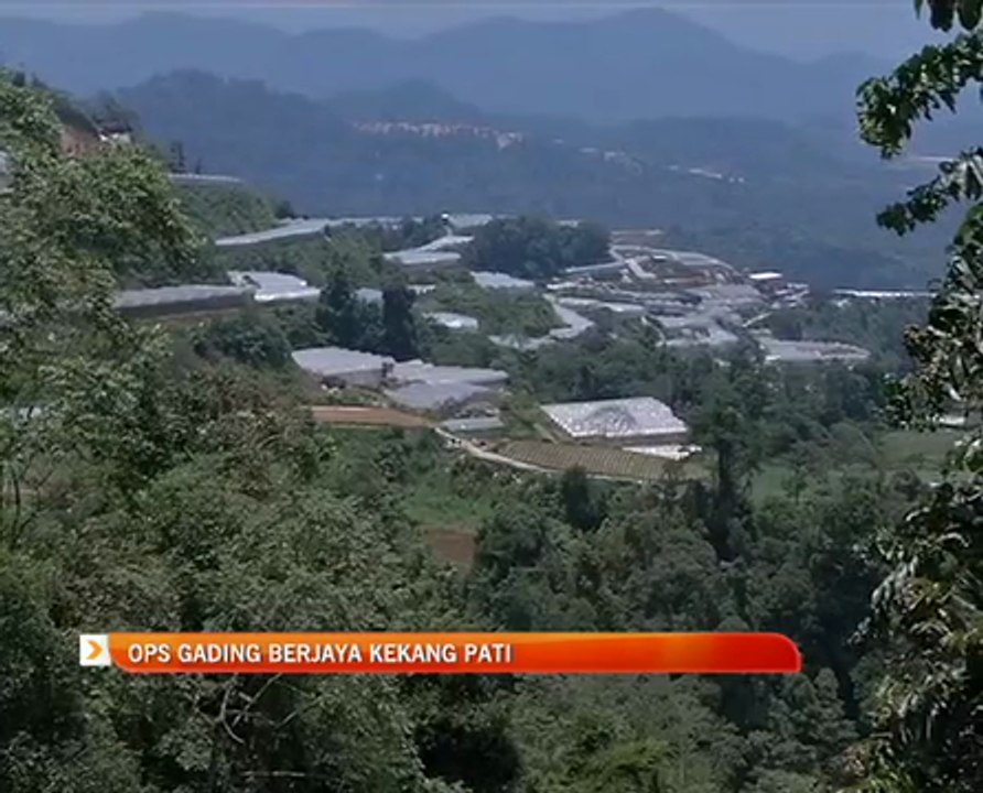 Ops Gading: Masih ada belum serik