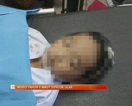 Murid tahun 1 maut dipatuk ular