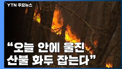 금강송 군락지 보존 총력전..."오늘 안에 화두 제압이 목표" / YTN