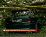 Lelaki selamatkan diri ketika angin kuat di Georgia