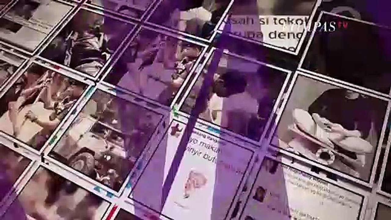 Hoaks Foto Persilangan Lumba-Lumba dan Manusia | News Or Hoax