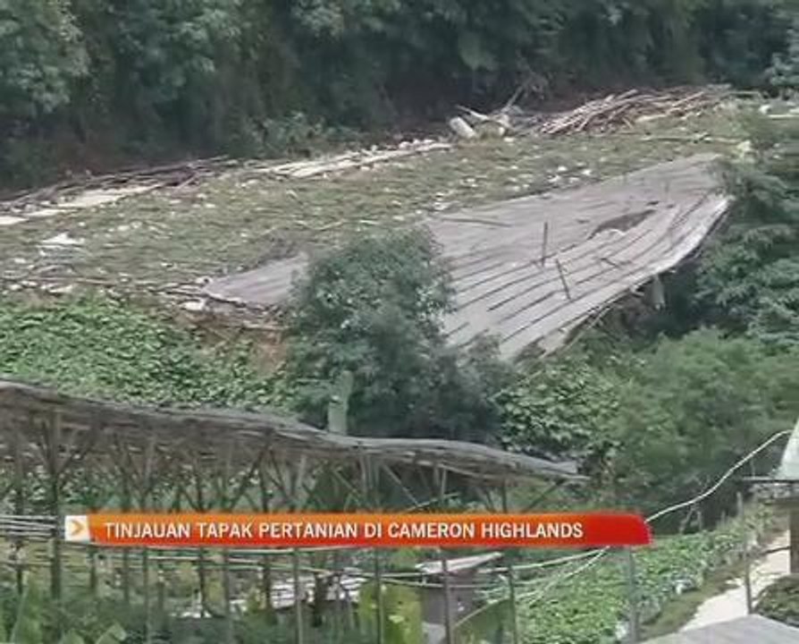 Tinjauan tapak pertanian di Cameron Highlands