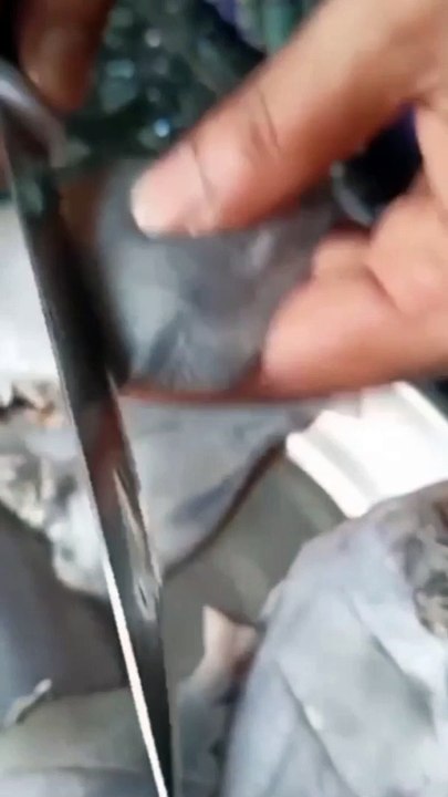 Fish Recipe | Best Fish Recipe | How To Make Fish Recipe | Fish | Rk food shorts