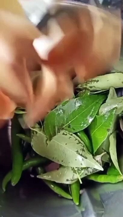 Chicken Recipe | How To Make chicken | Best Chicken Recipe | Rk food shorts