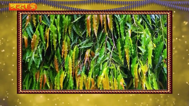 वृक्ष में देवताओं का होता है वास, लेकिन इस तरह के पेड़ लाते हैं धन हानि और कंगाली