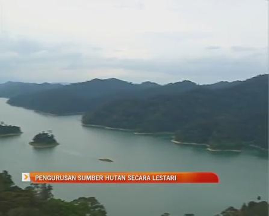 Pengurusan sumber hutan secara lestari