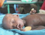 Surviving on leaves and berries - S. Sudanese on brink of famine