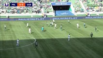 Palmeiras x Guarani (Campeonato Paulista 2022 9ª rodada) 1° tempo