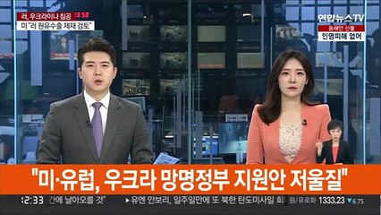 "미·유럽, 우크라 망명정부 지원안 저울질"