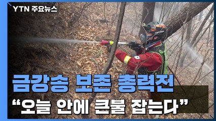 용천사 인근 산에서도 불..."오늘 안에 화두 제압이 목표" / YTN