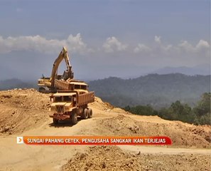 Sungai Pahang cetek, pengusaha sangkar ikan terjejas