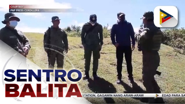 P428-M halaga ng marijuana, sinira sa Cordillera region ; 70 plantation sites sa Benguet, ni-raid