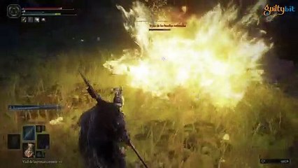 Vyke de las huellas infestadas en ELDEN RING