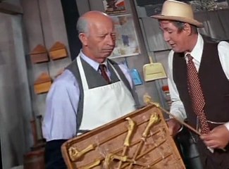 Green Acres S02 E11