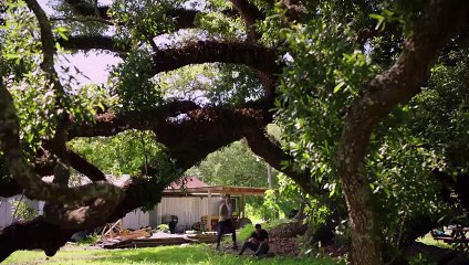 Queen Sugar 1ª Temporada Trailer Original