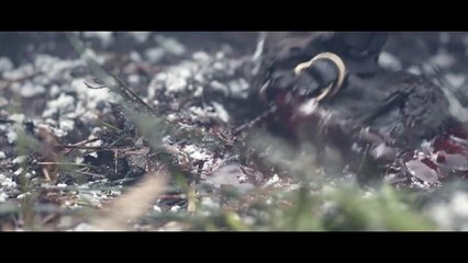 Vikingos - season 5 Teaser (8) VO