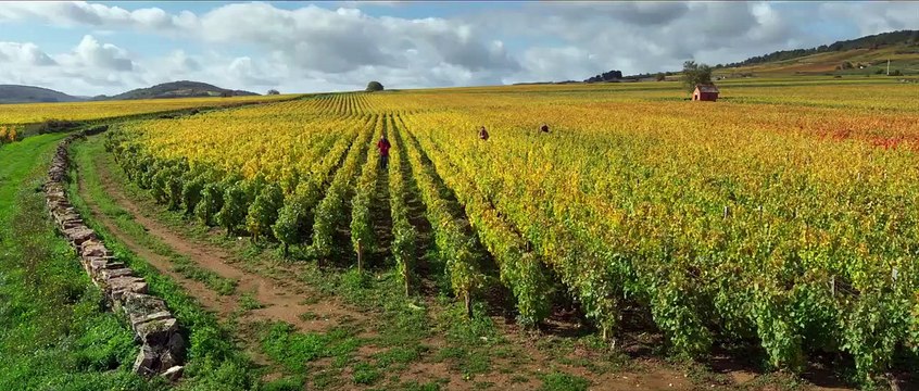 Nuestra vida en la Borgoña Tráiler