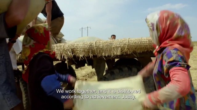 Meus Irmãos e Irmãs do Norte Trailer Original