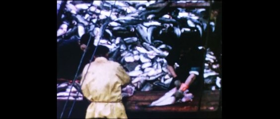 Arte al agua Tráiler