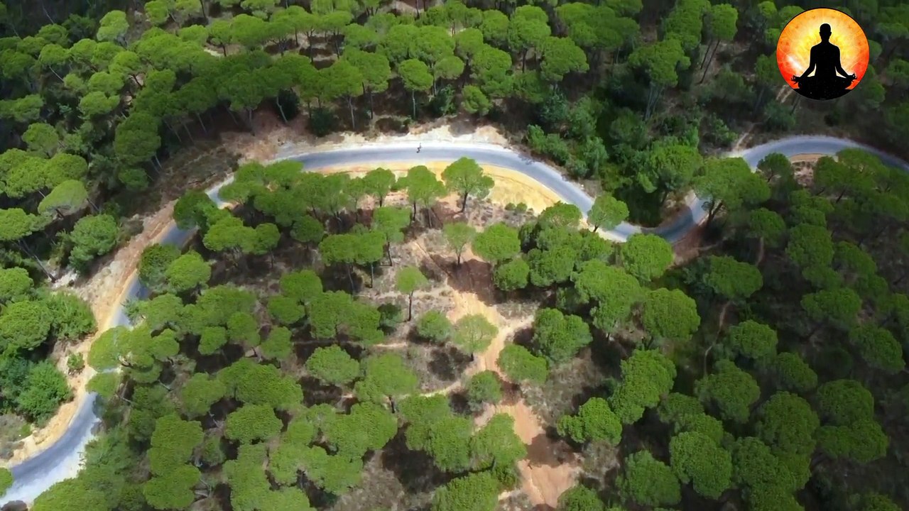 Soothing Music With Scenic Relaxation Film To Listen While Waiting