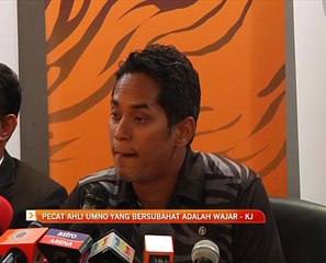 Pecat ahli UMNO yang bersubahat adalah wajar - KJ