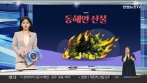 [그래픽뉴스] 동해안 산불