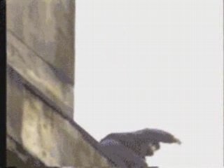 Attetion ame sensible s'abstenir