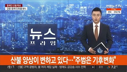 산불 양상이 변하고 있다…"주범은 기후변화"