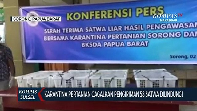 Karantina Pertanian Gagalkan Pengiriman 58 Satwa Dilindungi