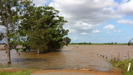 Secuestran a soldado del Ejército durante operación contra la deforestación en parque natural