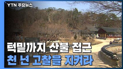 턱밑까지 산불 접근...금강송 군락지와 천년 고찰을 지켜라 / YTN