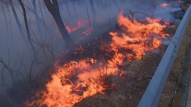 동시다발 산불 원인은 '가뭄'...겨울 강수량 역대 최저 / YTN